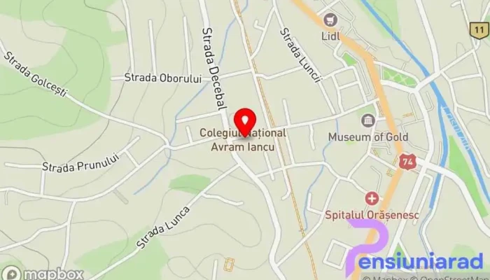hartă a Pensiunea Andrei Restaurant în Brad