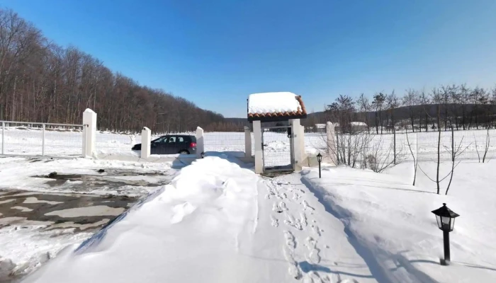 Pensiunea Antique -  Street View Si 360deg - Dragomirna