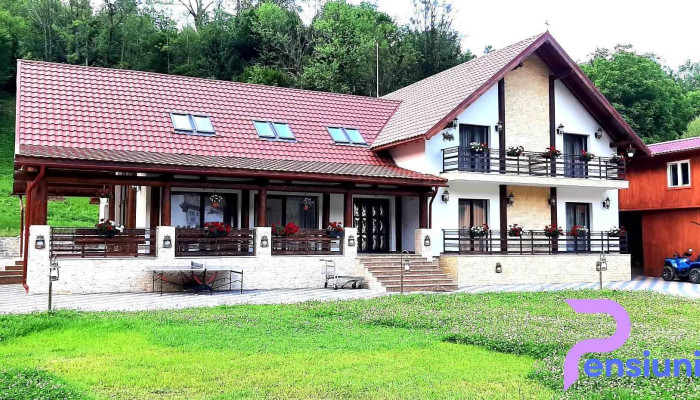 Pensiunea Ardealul -  Exterior - Albac