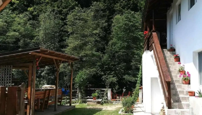 Pensiunea Ardeleanu -  Exterior - Brădetu