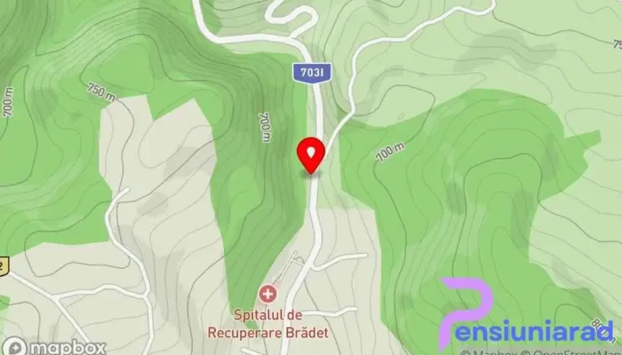 hartă a Pensiunea Ardeleanu Hotel în Brădetu