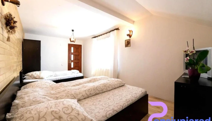 Pensiunea Arinas Camere - Cozănești