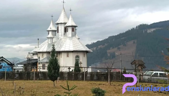 Pensiunea Arinas Exterior - Cozănești