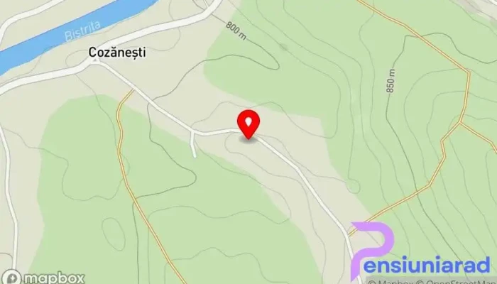 hartă a Pensiunea Arinaș Bed & Breakfast, Hotel în Cozănești