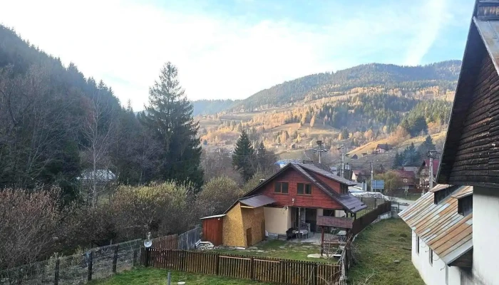 Pensiunea Armonia Albac -  Cabana - Albac