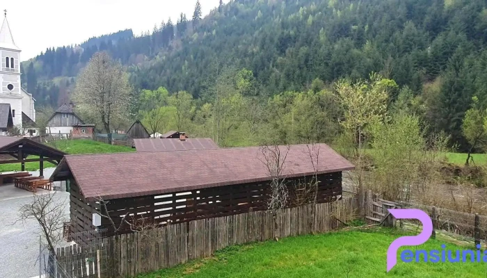 Pensiunea Armonia Albac -  Zonă - Albac