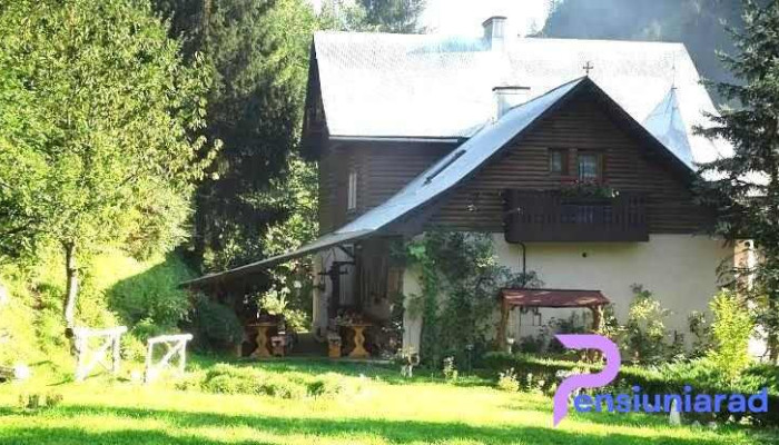 Pensiunea Aurora - Albac