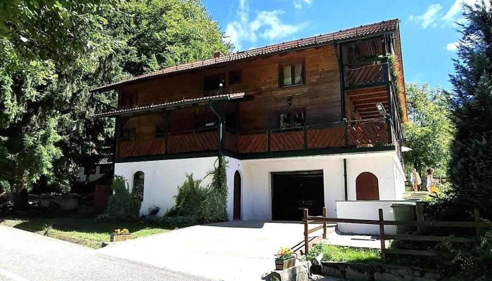 Pensiunea Aventura -  Exterior - Borlova