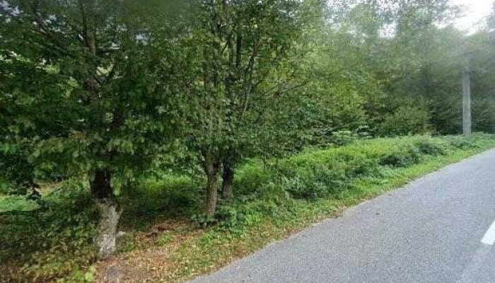 Pensiunea Aventura -  Street View Si 360deg - Borlova
