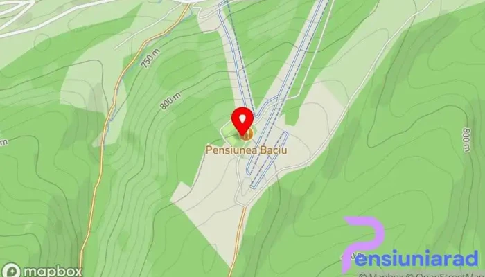 Pensiunea Baciu -  Hartă - Strada Vilelor
