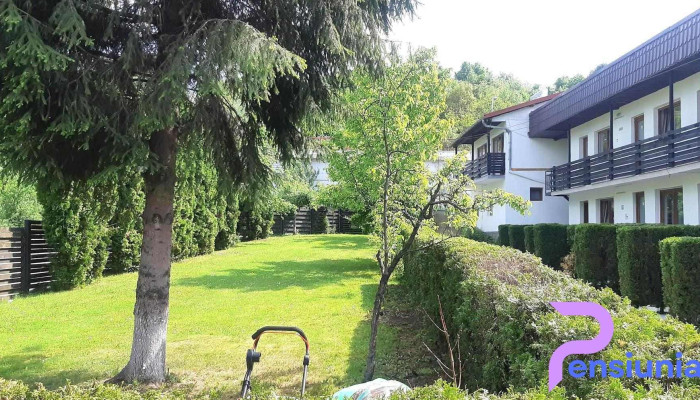 Pensiunea Bavaria -  De La Vizitatori - Câmpina
