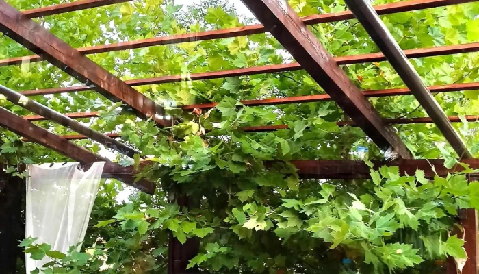 Pensiunea Cabana Vanatorului Fotografii - Scornicești