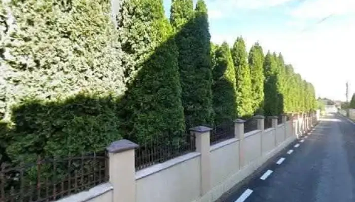 Pensiunea Casa Boema -  Street View Si 360deg - Botoșani