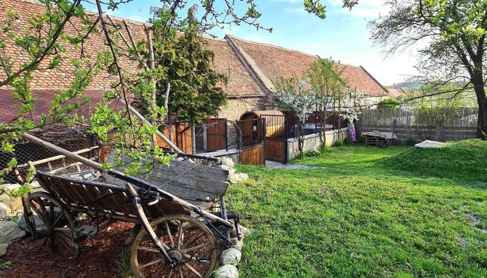 Pensiunea Casa Bunicilor -  De La Vizitatori - Gârbova