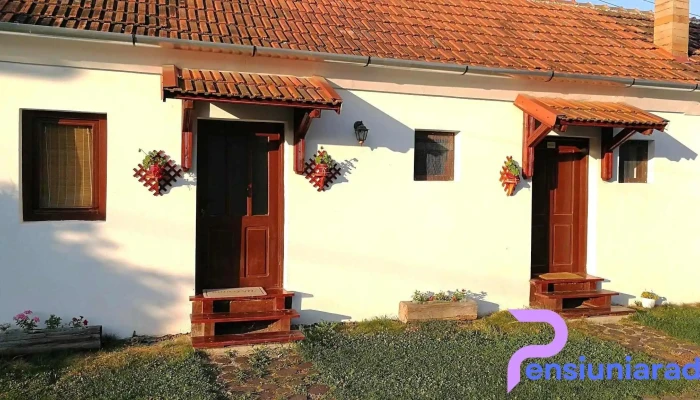 Pensiunea Casa Canda De La Vizitatori - Sălașu De Sus