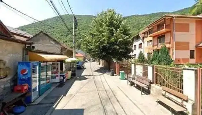 Pensiunea Casa Dimitrios -  Street View Si 360deg - Băile Herculane