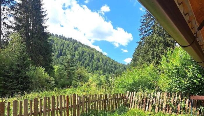 Pensiunea Casa Iunia -  Cum Să Ajungi Acolo - Gârda De Sus