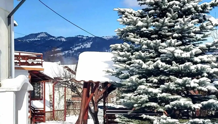 Pensiunea Casa Madalina -  De La Proprietar - Căpățânenii Pământeni
