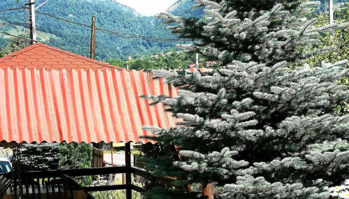 Pensiunea Casa Madalina -  Exterior - Căpățânenii Pământeni