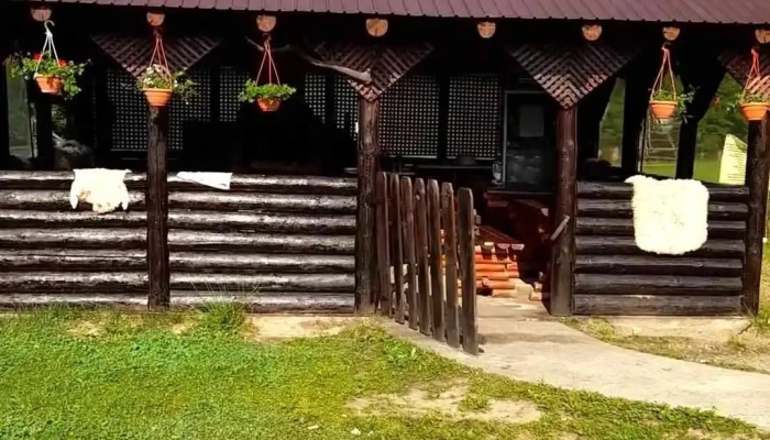 Pensiunea Casa Maria -  Exterior - Bucșenești
