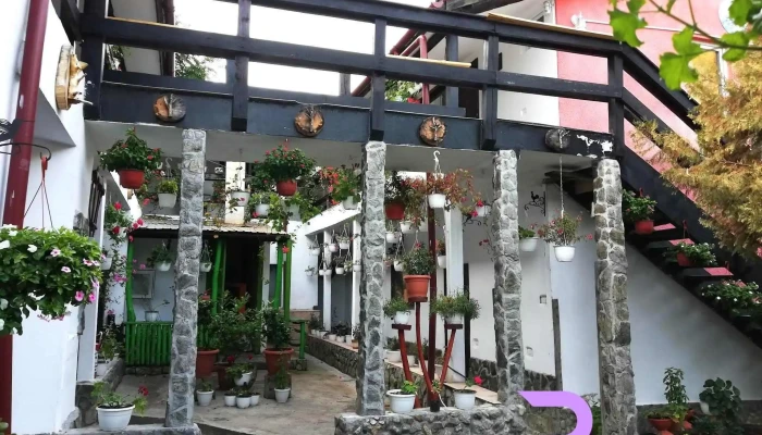 Pensiunea Casa Montana -  De La Vizitatori - Sasca Montană
