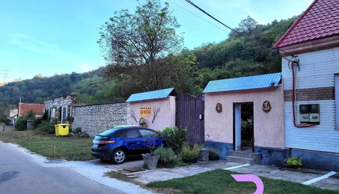 Pensiunea Casa Montana -  Exterior - Sasca Montană