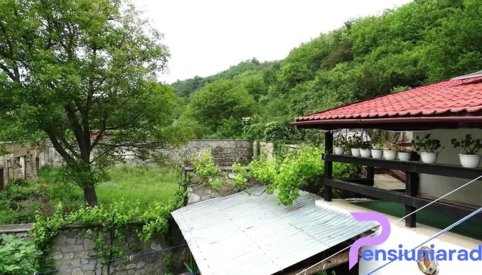 Pensiunea Casa Montana - Sasca Montană