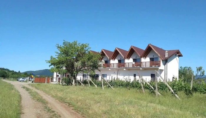 Pensiunea Casa Negrea -  De La Vizitatori - Ighiu