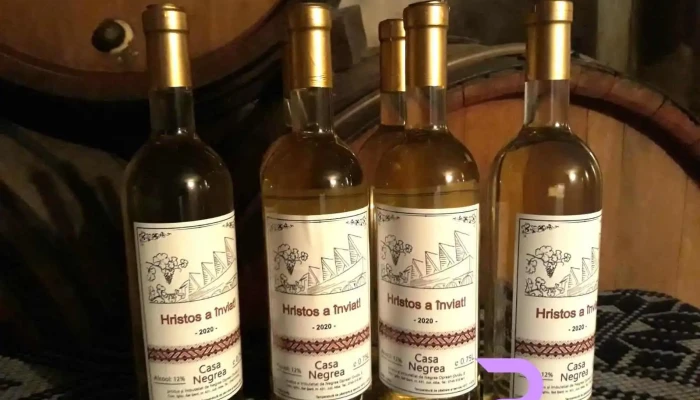 Pensiunea Casa Negrea -  Mancaruribauturi - Ighiu