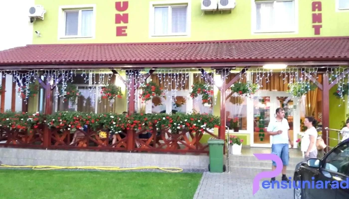 Pensiunea Casa Verde - Vladimirescu
