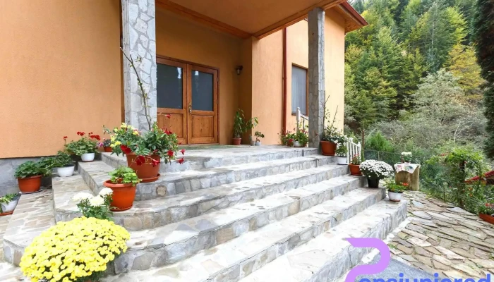 Pensiunea Casoca Cascada Reduceri - Cașoca
