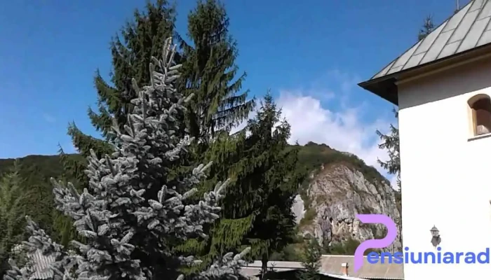 Pensiunea Castania -    Polovragi De La Vizitatori - Poiana Mănăstirii