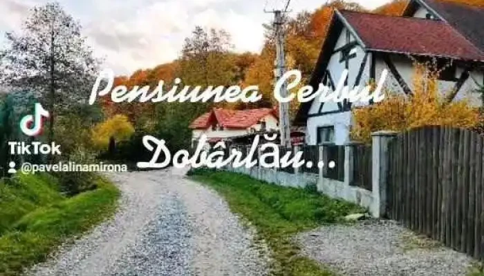 Pensiunea Cerbul Dobarlau De La Proprietar - Valea Dobârlăului