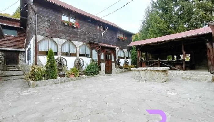 Pensiunea Cerbul Dobarlau Exterior - Valea Dobârlăului