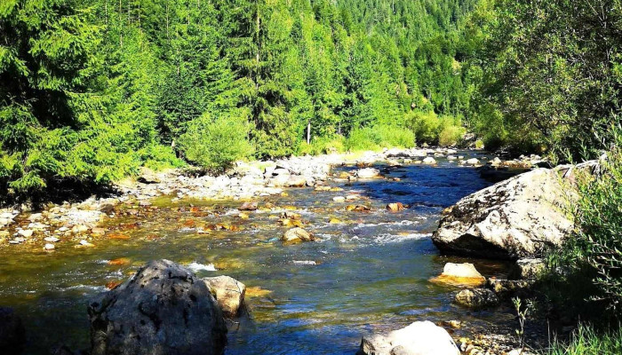Pensiunea Cheile Albacului -  De La Vizitatori - Albac