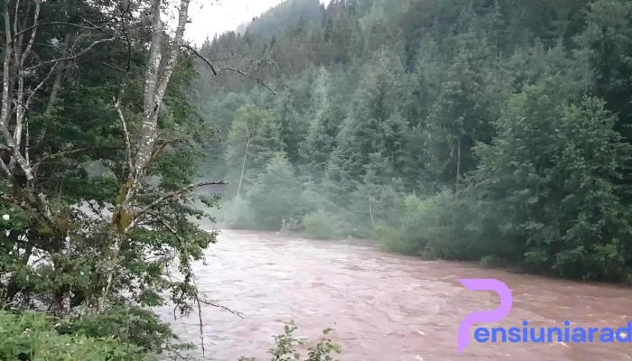 Pensiunea Cheile Albacului -  Videoclipuri - Albac