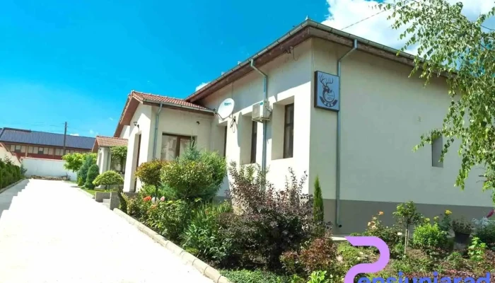 Pensiunea Codru -  Exterior - Topolog