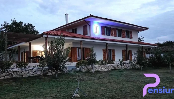 Pensiunea Columna -  De La Vizitatori - Adamclisi