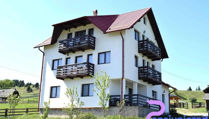 Pensiunea Crinul Bucovinei -  Exterior - Comuna