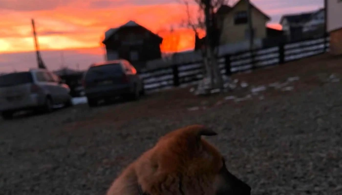 Pensiunea Crinul Bucovinei -  Instagram - Comuna
