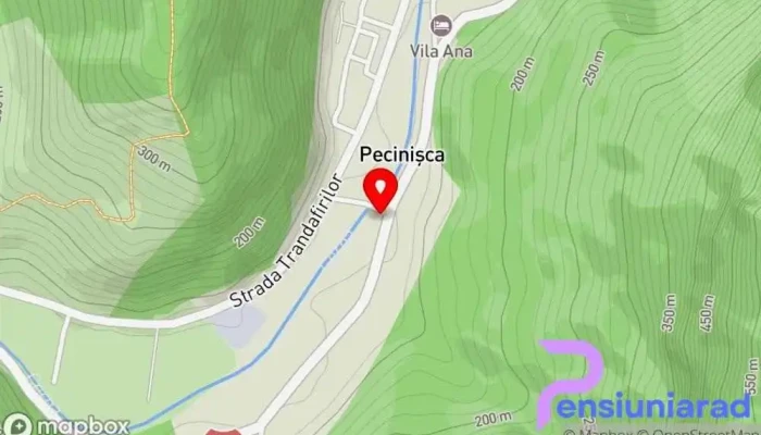 Pensiunea Cuibul Viselor -   La Johnny Hartă - Băile Herculane