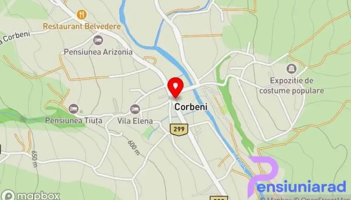 hartă a Pensiunea Dandu Hostel în Corbeni