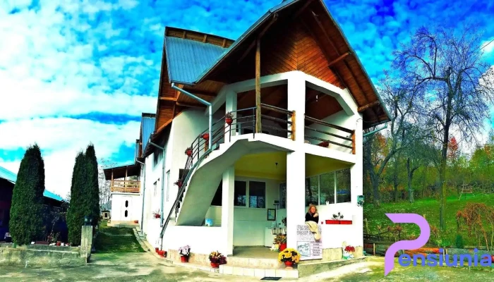 Pensiunea Dealuinsorit De La Vizitatori - Curtea De Argeș