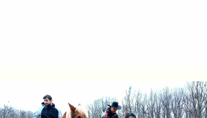 Pensiunea Dealul Domnitorilor -  Adresă - Strada General Heruvim