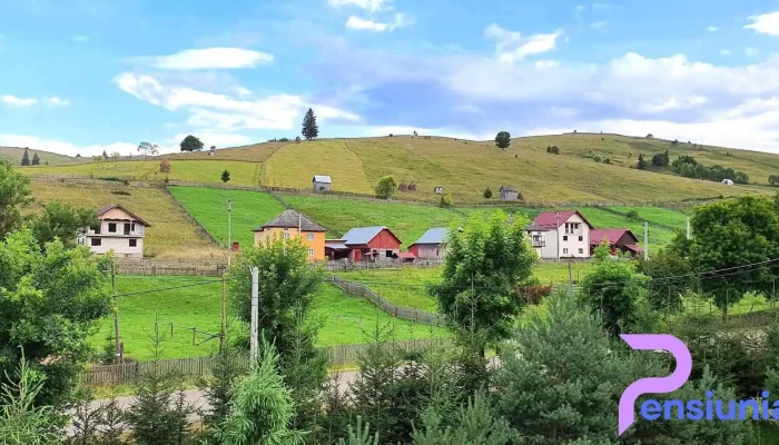 Pensiunea Delia -  Număr - Vatra Moldoviței