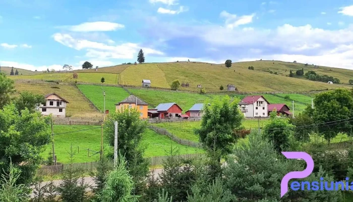 Pensiunea Delia - Vatra Moldoviței