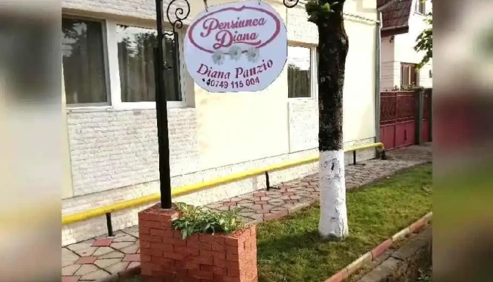 Pensiunea Diana -  Videoclipuri - Strada Bucovina 15
