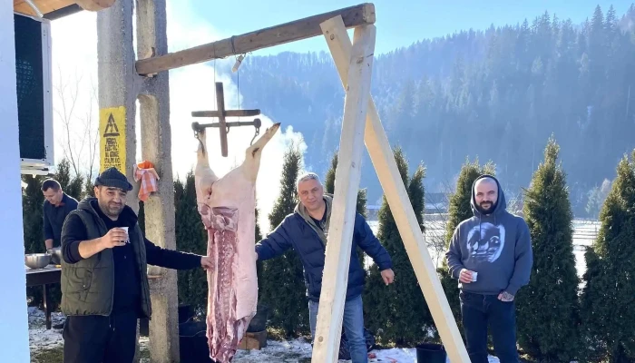 Pensiunea Dor De Brazi -  Zonă - Suceava