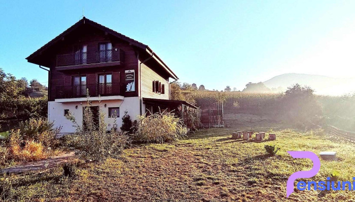 Pensiunea Dorel Codoban -  Cabana - Lazuri