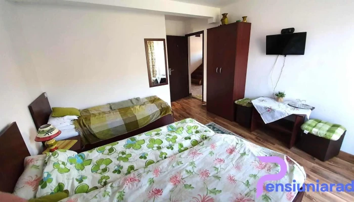 Pensiunea Dorel Codoban -  Camere - Lazuri
